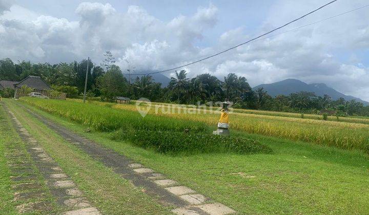 Holistic Healing Villa With River, Mountain Ricefield View In Baturiti Tabanan 2