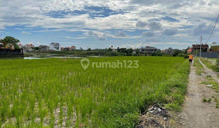 Tanah Pantai Cemagi Ricefield View 1