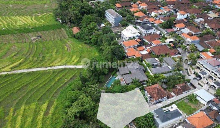 Tanah di Pererenan Canggu Dengan View Sungai Dan Sawah  1