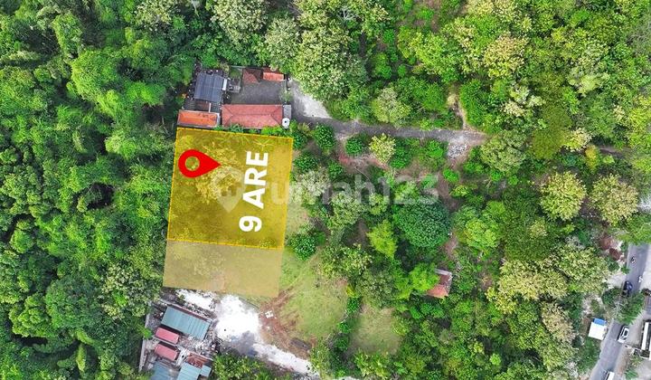 LEASEHOLD LAND 9 ARE IN UNGASAN