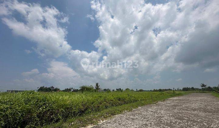 Kedungu Beach Land Tabanan 2