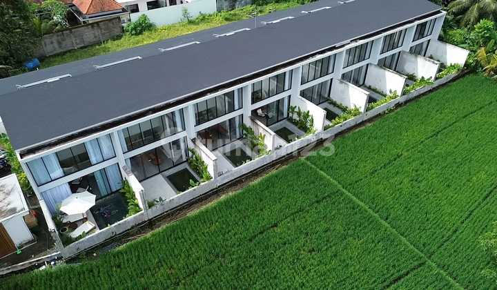 Brand New Loft Villa in Pejeng Tampak Siring Brand New Loft Villa in Pejeng Tampak Siring