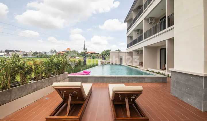 One Suite Cozy Room - Stay Next To Bali Padel Academy In Canggu One Suite Cozy Room - Stay Next To Bali Padel Academy In Canggu