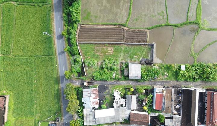 Land with Ricefield View in Gianyar Land with Ricefield View in Gianyar