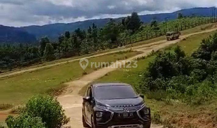  Tanah SHM - Sertifikat Hak Milik 1000 Hectare di Madang pasir sukajaya bogor, Sukajaya 4