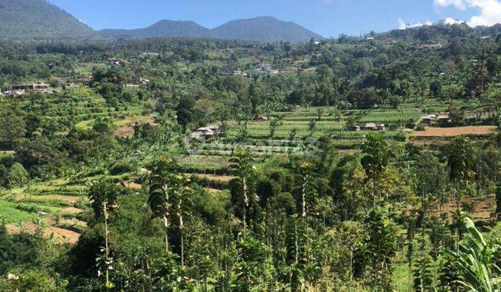 Dijual Tanah Murah View Bukit Dan Gunung di Baturiti Bedugul 2