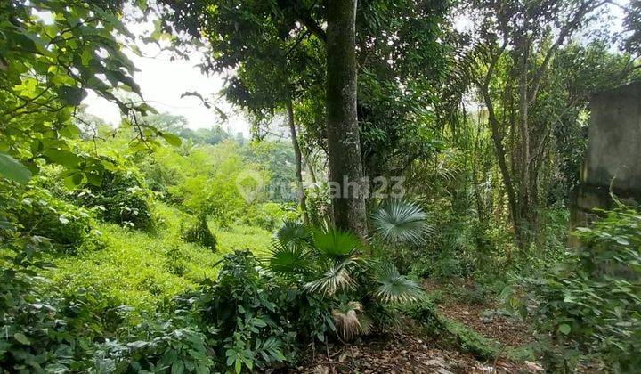 Land For Sale With Amazing View From Jungle In Buwit Tabanan 1