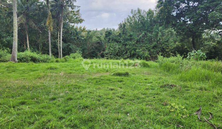 For Sale Cheap Land Los Sungai in Antap Balian Beach 1