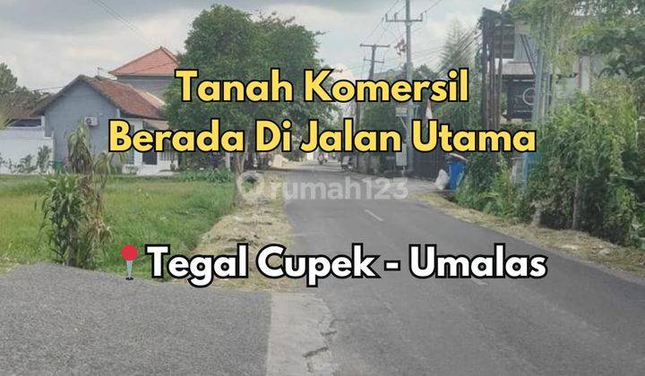 Tanah Strategis Komersil Berlokasi di Jalan Utama Tegal Cupek 1