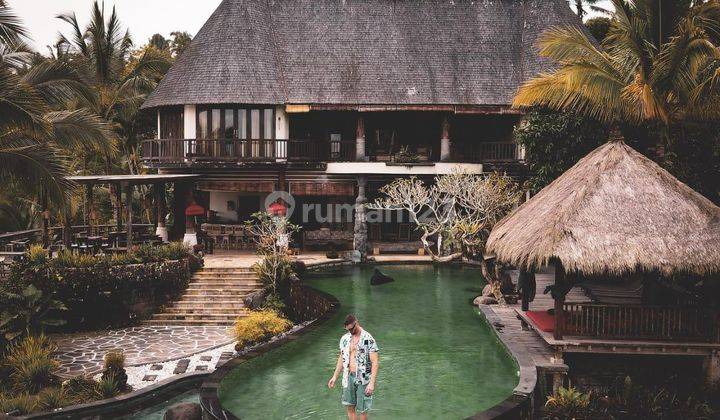 Boutique Resort With Amazing View For Sale In Payangan Ubud 2