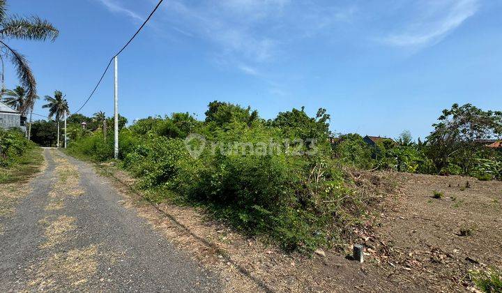 Land for Sale in a Beautiful and Quiet Environment Near Saba Beach, Gianyar 1