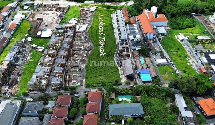 Premium Land For Leasehold in Strategic Location Pererenan Canggu 1