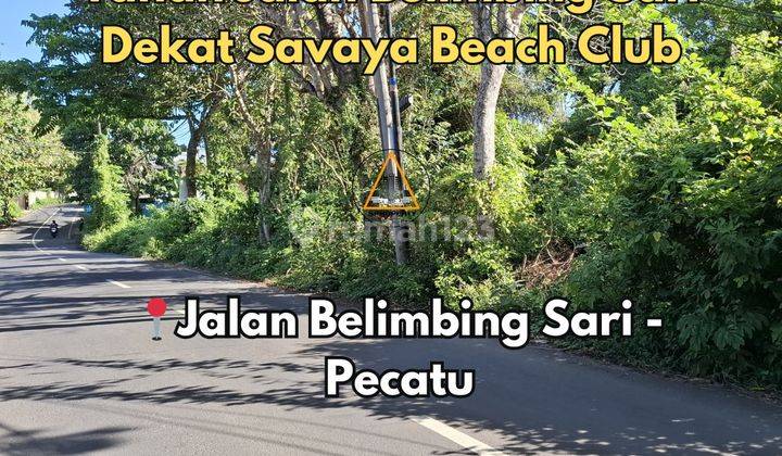 Tanah Jalan Utama Belimbing Sari Pecatu Dekat Savaya Beach Club Tanah Jalan Utama Belimbing Sari Pecatu Dekat Savaya Beach Club