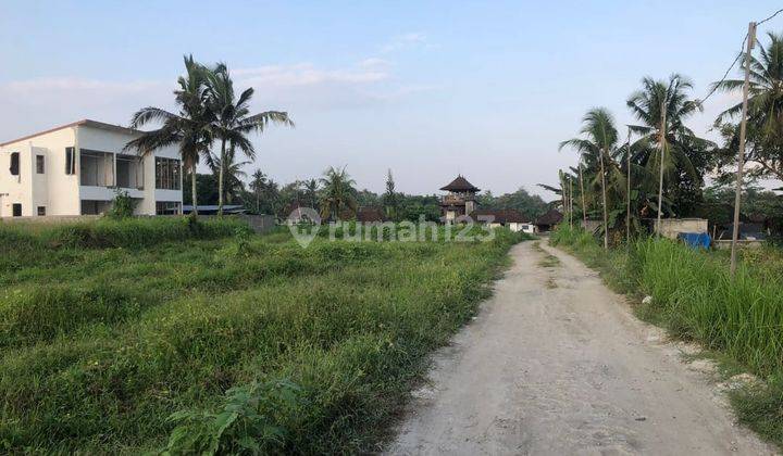 For Sale Land in Villa Environment and Rice Field View in Pejeng Kawan Ubud 2