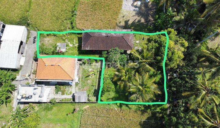 Cheap land for sale located in Sanding Tampak Siring Ubud 1