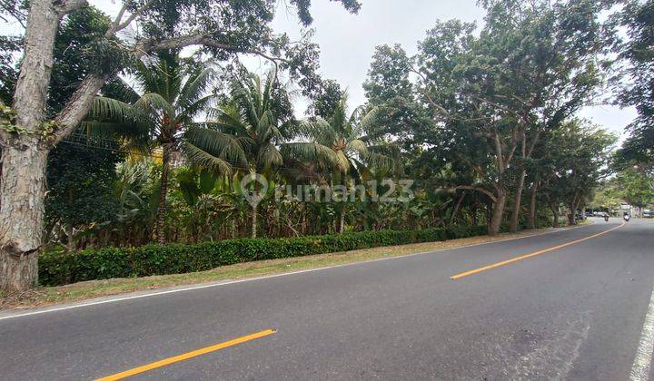 Cheap Land for sale at Los Sungai in Denpasar Gilimanuk Main Street 1