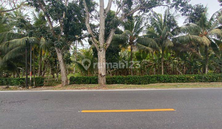 Cheap Land for sale at Los Sungai in Denpasar Gilimanuk Main Street 2