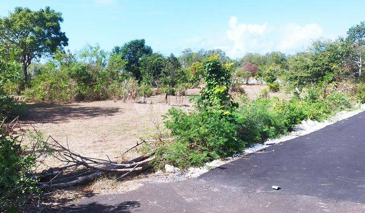 Land For Sale Tourism Zone In Kutuh Badung  1