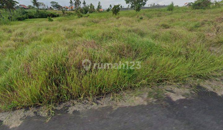 Dijual Tanah Kecil View Sawah Dan View Laut di Pantai Seseh 1