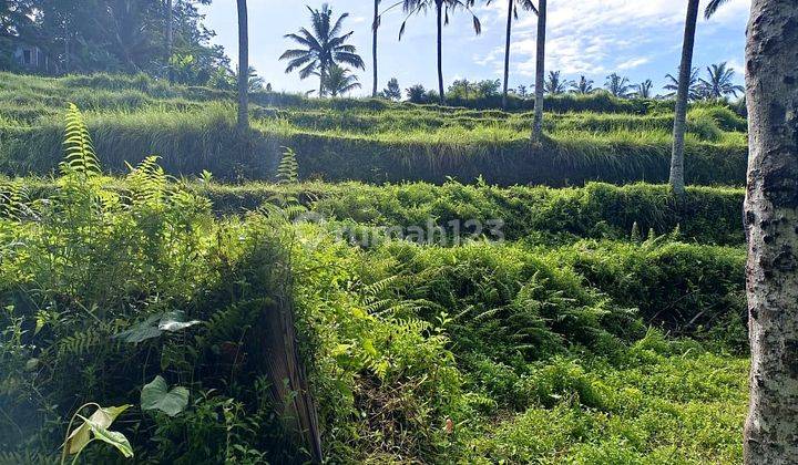 Premium Location Land for sale in Tegalalang Ubud  1