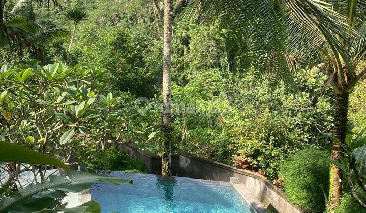 Resort With Complete Facilities In Tegalalang Ubud 1