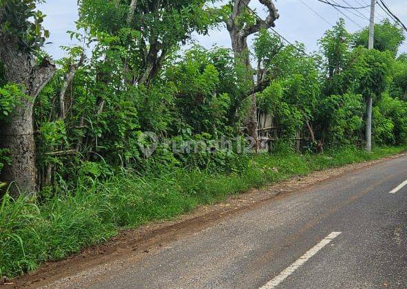 Land For Leasehold Location in Pecatu Near Savaya 1