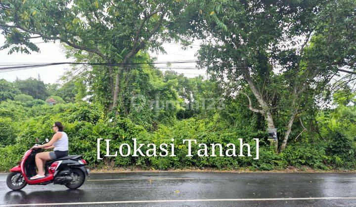 Commercial Land for Sale Located on the Main Road of Belimbing Sari Pecatu 1