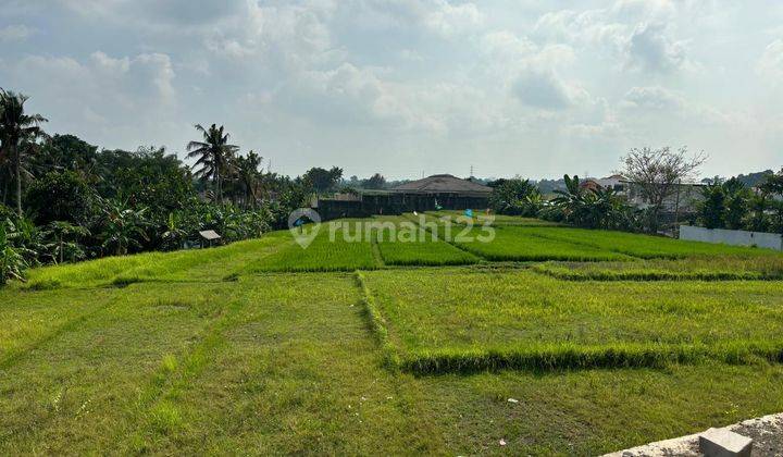 For Sale Cheap Land Bonus Abandoned Villa Building in Tabanan 2