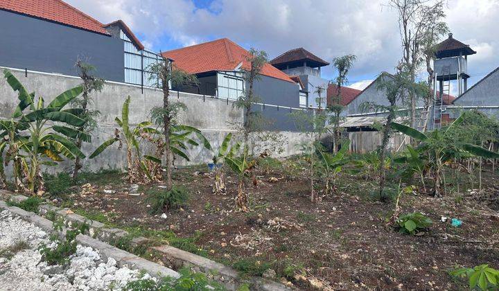 Dijual Tanah Murah di Area Kampus Udayana Jimbaran 1