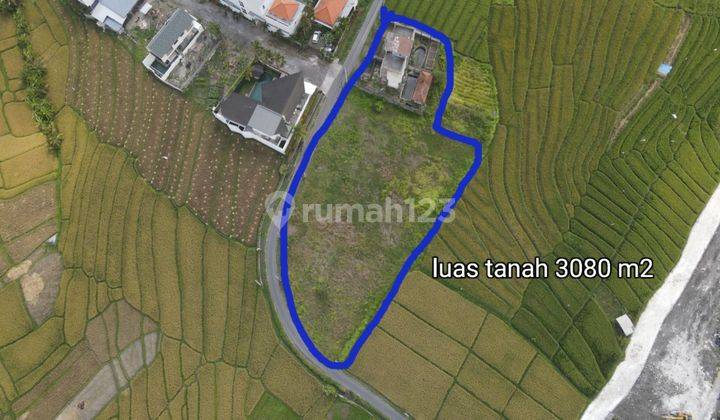 Land for sale with rice field and sea view on Jalan Pantai Cemagi 1