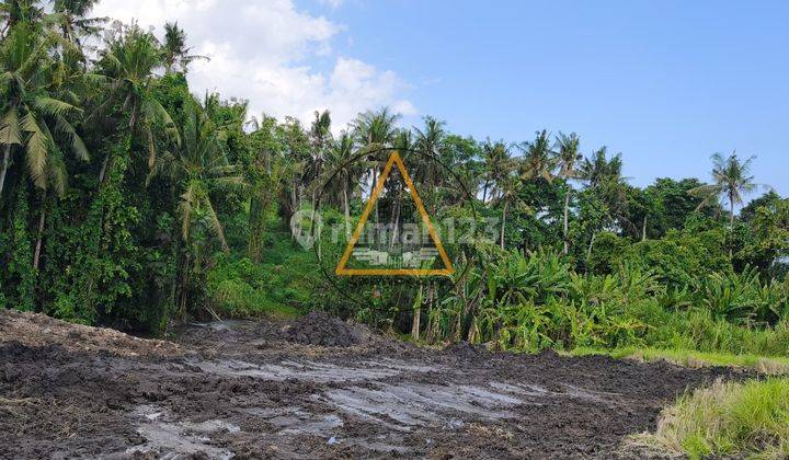 Tanah Kavling Strategis di Tabanan Dekat Dengan Area Pusat Canggu 2