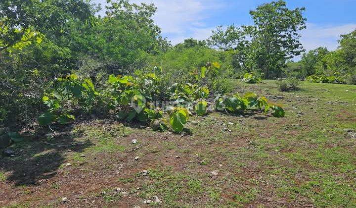 Jual Cepat Tanah Berlokasi di Dekat Pantai Balangan 1