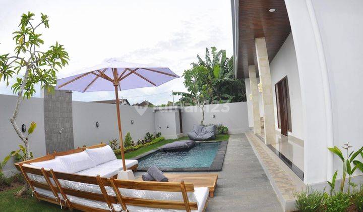 For Rent Brand New Modern Nature Style Villa In Canggu 2