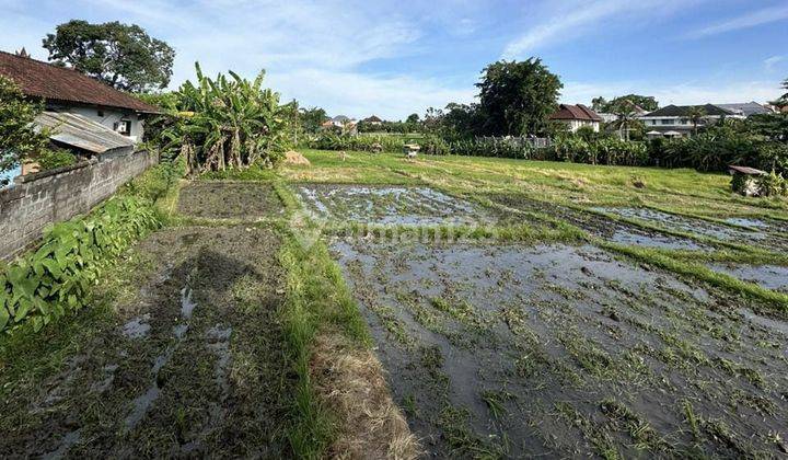 For Sale Cheap Land with Rice Field View in Kuwum Umalas 2