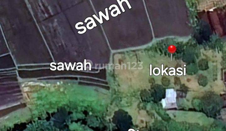 Dijual Tanah Loss Sungai Dan Sawah di Nyitdah Tabanan 2