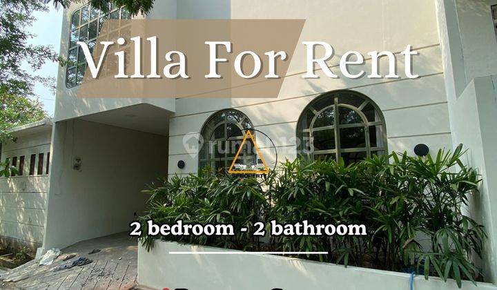 Modern Minimalist Villa European Style For Rent in Canggu 1
