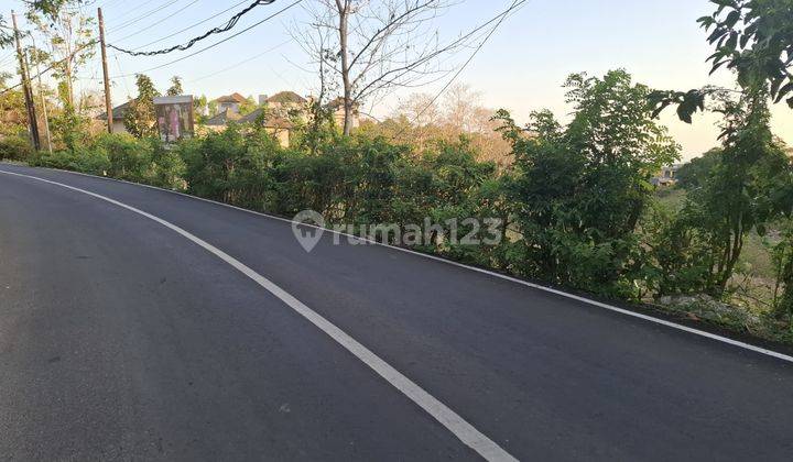 Dijual Cepat Tanah di Jalan Utama Belimbing Sari Pecatu 1