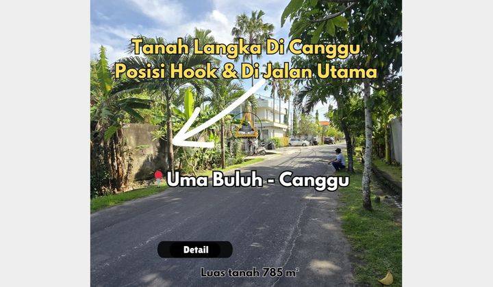 TANAH JALAN UTAMA UNTUK VILLA KAYU TULANG CANGGU 