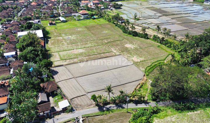 Dijual Tanah Kavling Murah di Kaba Kaba Tabanan 1