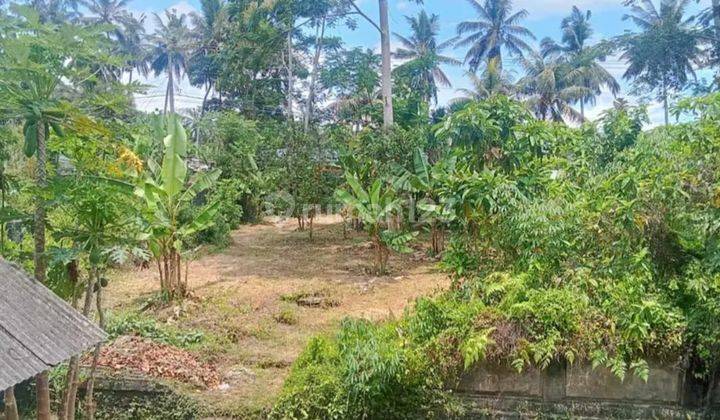 Land and Building for Sale on the Side of Susut Bangli Road 2