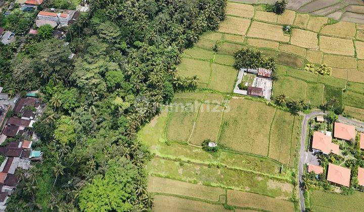 Tanah Kavling Murah View Sawah di Pejeng Tampaksiring Ubud 1