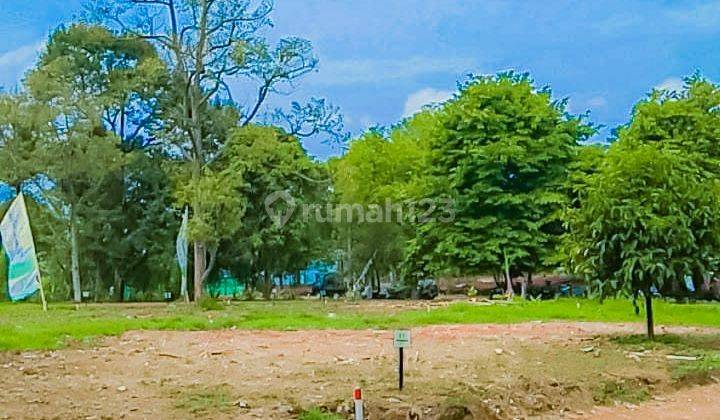 Dijual Kavling Konsep Kebon Buah Di Bogor Timur 7
