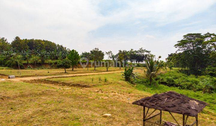 Dijual Kavling Kebun Buah Terdekat Dari Jakarta 6