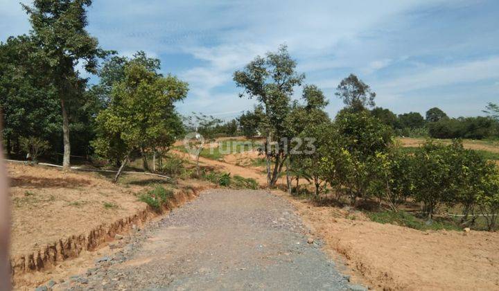 Tanah Kavling Wisata Kebun Di Jalur Transyogi Bogor Timur 10