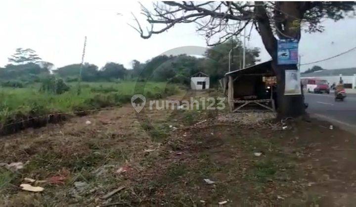 Dijual Tanah di Ciruas Serang Banten Pinggir Jalan Raya Utama 1