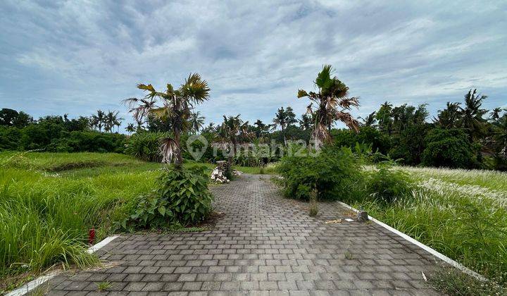 Tanah Murah 830 M2 Dekat Pantai Kedungu 1