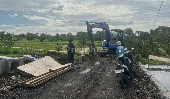 Promo Terbatas Tanah Kavling Murah Di Kedungu