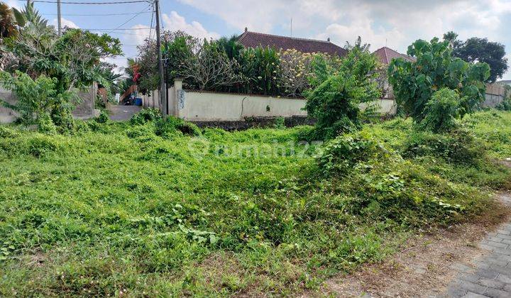 Land for sale 200 m2 and 142 m2 near Kedunggu 1