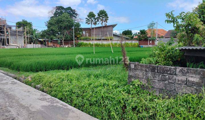 Tanah 500 M2 Dekat Pantai Cemagi For Sale 1