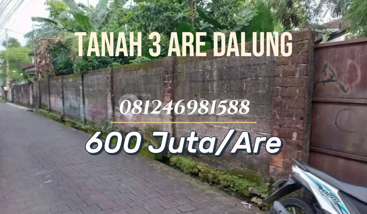 Tanah Siap Bangun Harga Menarik di Dalung - Investasi & Hunian Tanah Siap Bangun Harga Menarik di Dalung - Investasi & Hunian